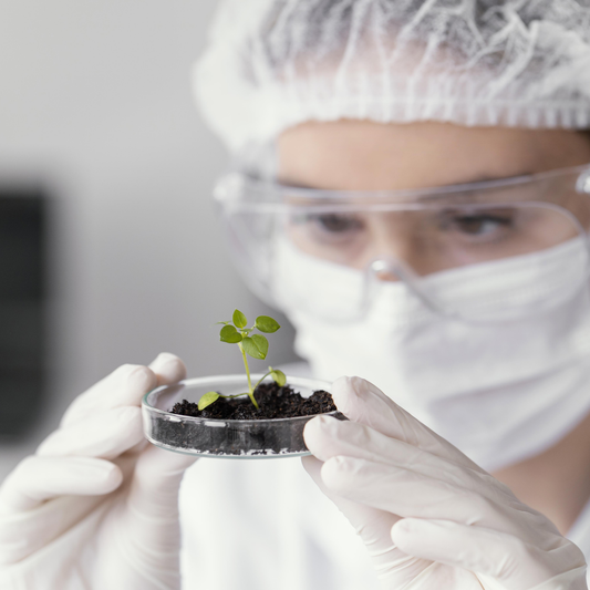 De la Naturaleza al Laboratorio: La Ciencia detrás de Nuestra Cosmética