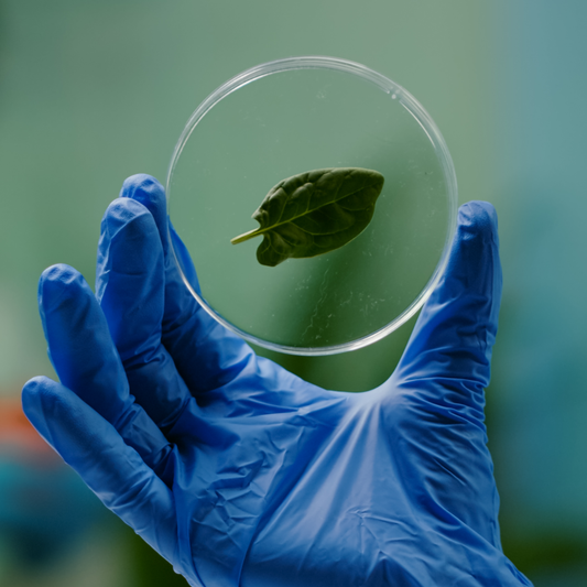 ¿Por qué 95% Natural es Mejor que 100% Natural? La Ciencia detrás de la Cosmética Eficaz