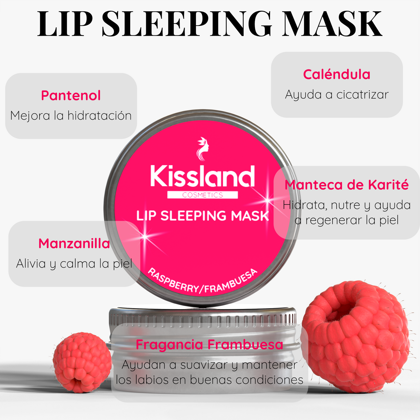 Lip Sleeping Mask Reparador Labial Sabor Frambuesa 15g